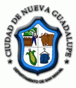 Nueva Guadalupe